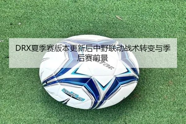 DRX夏季赛版本更新后中野联动战术转变与季后赛前景
