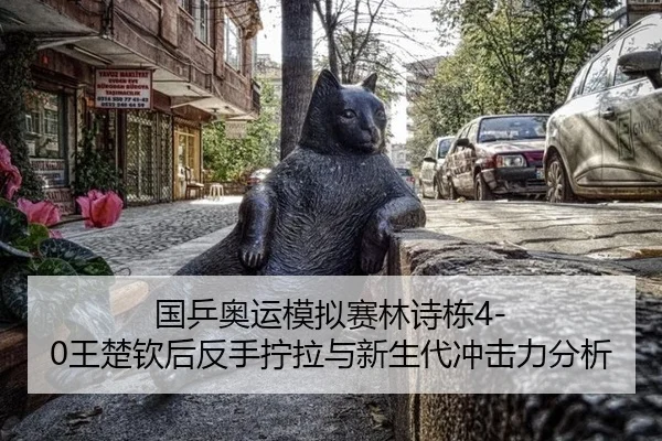 国乒奥运模拟赛林诗栋4-0王楚钦后反手拧拉与新生代冲击力分析